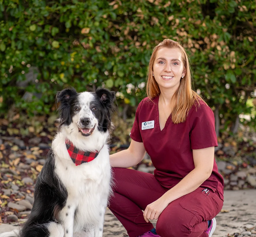 Dr. Skylar Koll, DVM