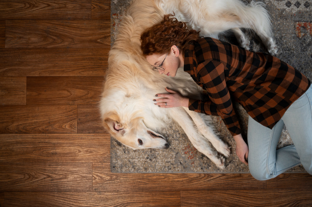 Why In-Home Pet Euthanasia Can Be the Best Choice for Your Senior Companion