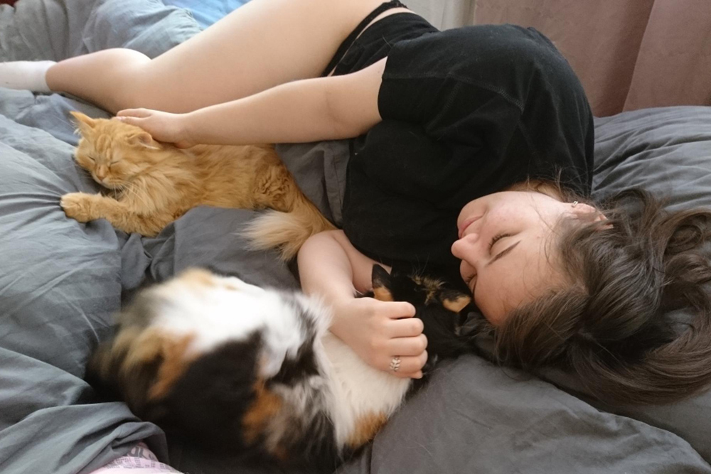 Helping Your Pets Cope with the Loss of a Companion