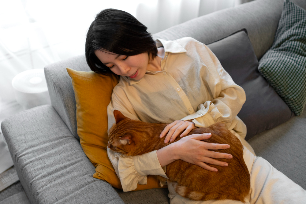 What to Expect With In-Home Pet Euthanasia