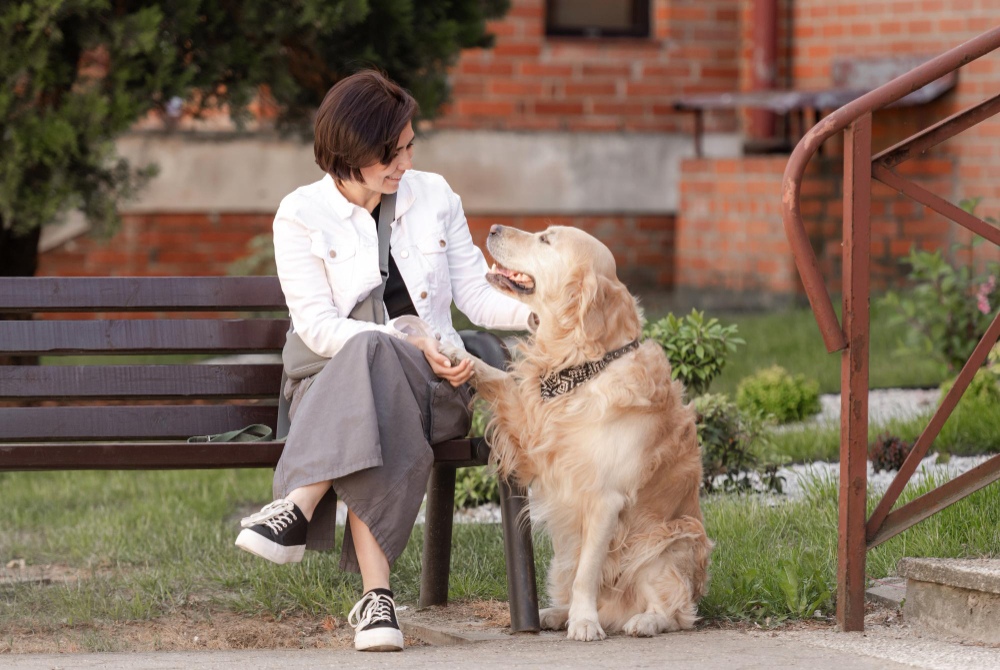 Ways You Can Make Life Easier for Your Older Dog