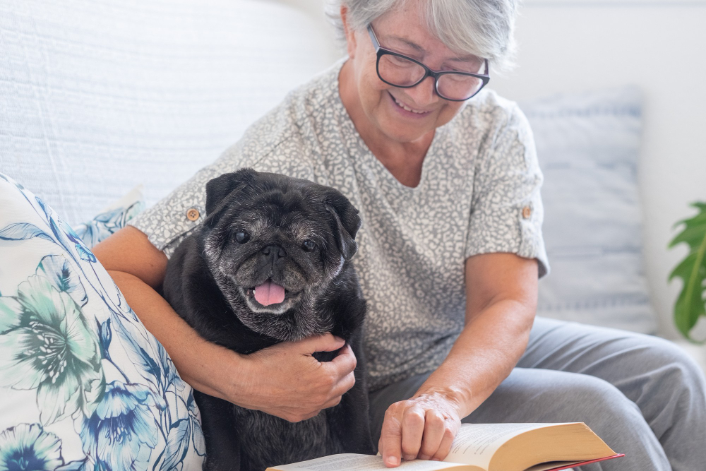 Ways to Help Your Senior Dogs