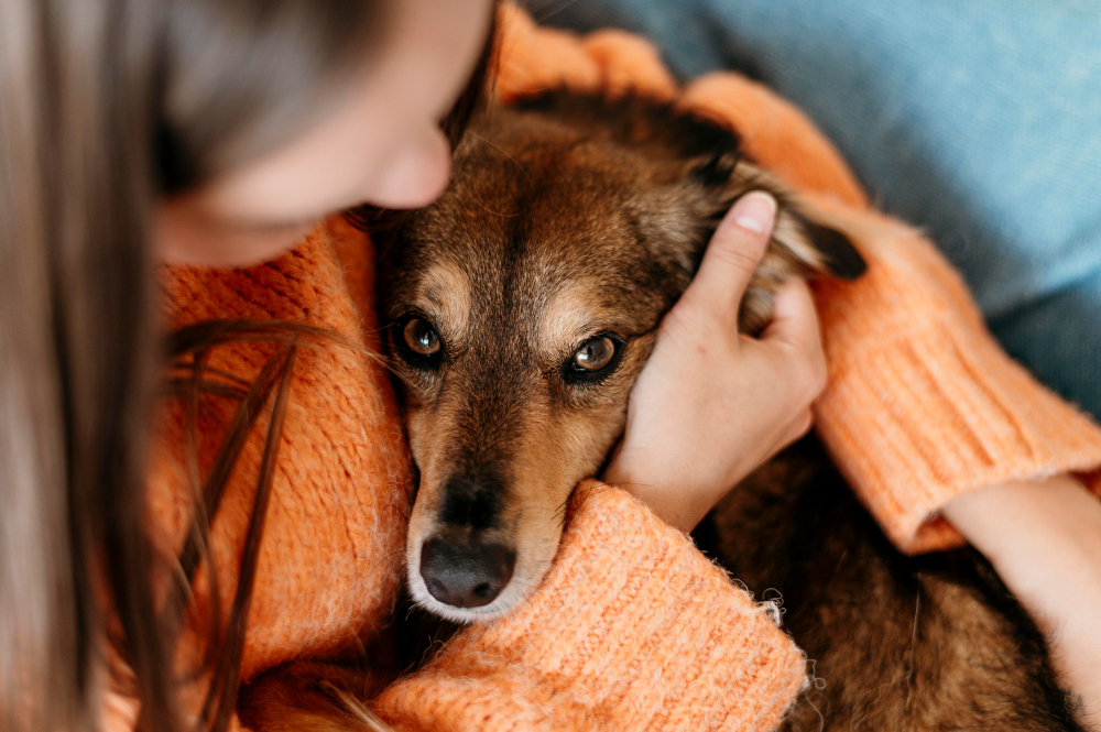 When to Consider In-Home Euthanasia for Your Pet