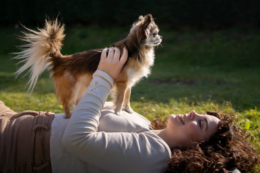 Average Lifespan of a Dog in Florida: What Owners Need to Know