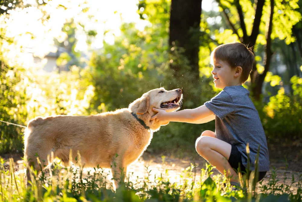 How to Talk to Your Child About Losing a Pet