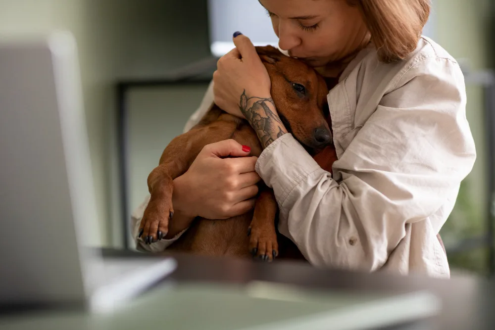 Questions to Ask Your Vet Before Considering In-Home Euthanasia